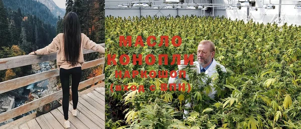 меф Вяземский