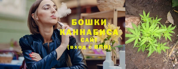 стаф Вязники