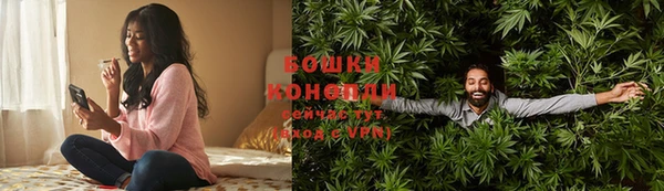 стаф Вязники
