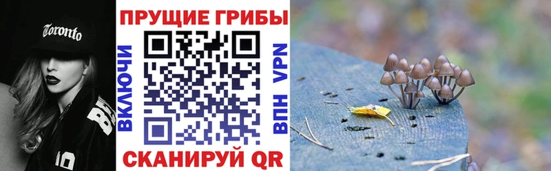 Купить закладки  Белоусово  Псилоцибиновые грибы MAGIC MUSHROOMS 